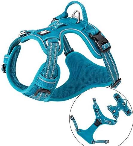 Actual product image Truelove No Pull dog harness (S, Dog, Dog sport, Jogging, Walks, General)