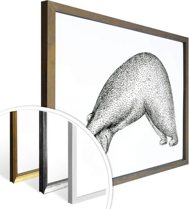 Actual product image Trenddeko Yoga bear 01 (80 x 60 cm)
