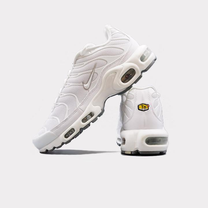 Image du produit Nike Air Max Plus (44.5)
