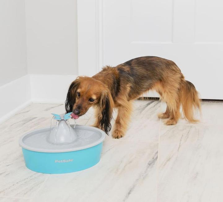 Image du produit PetSafe Fontaine pour animaux de compagnie Drinkwell® Butterfly (1.50 l)
