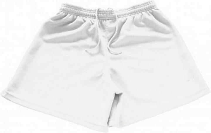 Actual product image Omega Shorts (28)