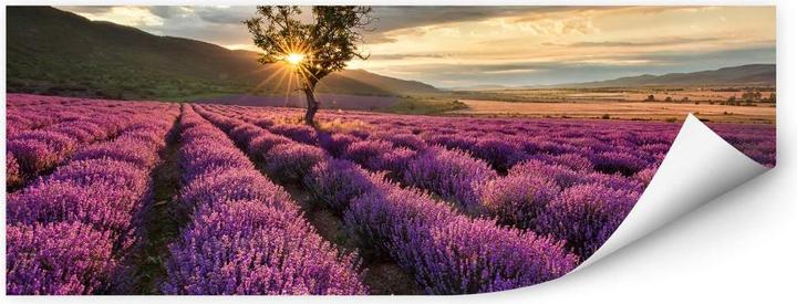 Produktbild Trenddeko Lavendelblüte in der Provence - 01 (100 x 40 cm)