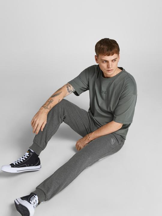 Image du produit Jack & Jones Gordon Sweathose (L)