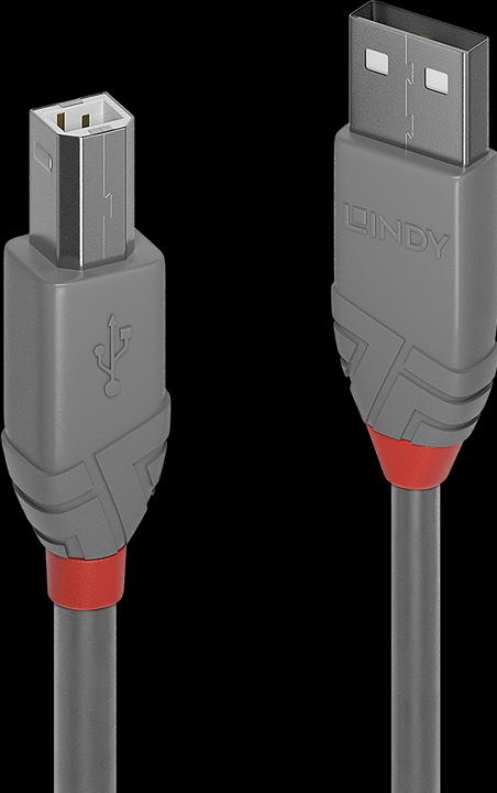 Produktbild Lindy USB/A-USB/B M-M (2 m, USB 2.0)