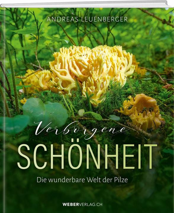 Actual product image Verborgene Schönheit (German, Andreas Leuenberger, 2024)