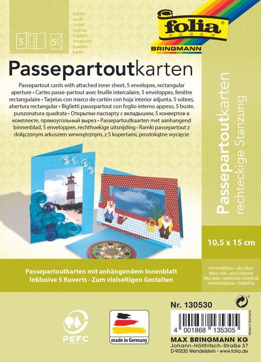 Actual product image Folia Passepartouts 220g/m², rectangular punching (5 pcs.)