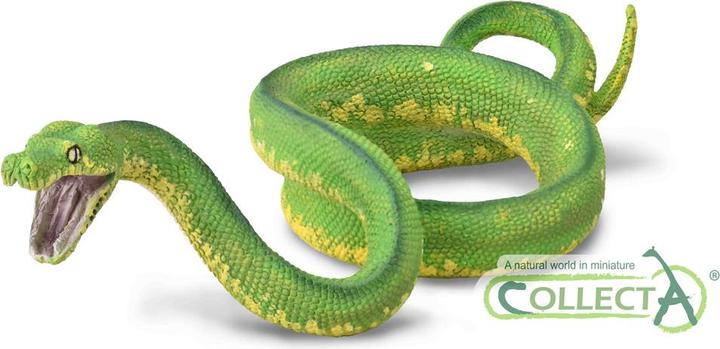 Actual product image Collecta Green Question