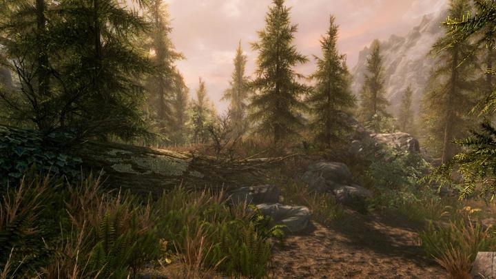 Produktbild Bethesda The Elder Scrolls V: Skyrim (Switch, Multilingual)