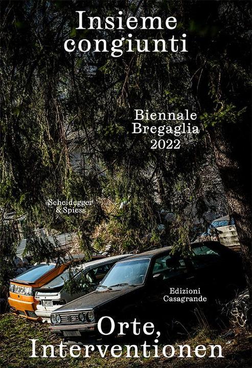 Produktbild Insieme congiunti. Orte, Interventionen (Deutsch, Italienisch, Anna Vetsch, Bigna Guyer, 2022)