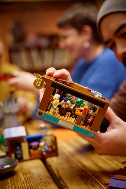 Actual product image LEGO 21348 Dungeons & Dragons: The Saga of the Red Dragon (21348, LEGO Ideas, LEGO Rare Sets)