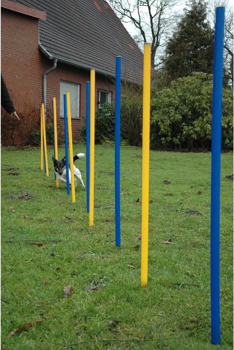Actual product image Dobar Slalom set (Agility)
