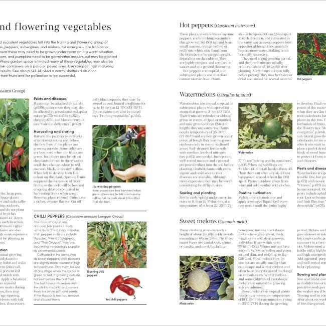 Immagine prodotto RHS Encyclopedia of Gardening New Edition (Inglese, Guy Barter, Christopher Brickell, DK, 2022)