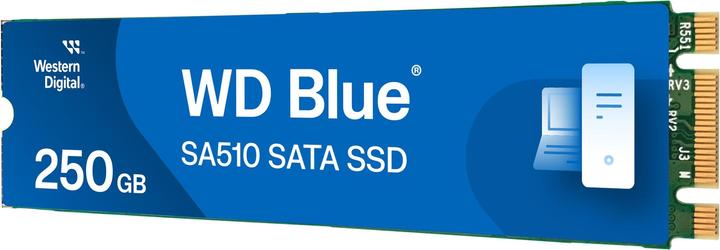 Productafbeelding WD Blauw SA510 (250 GB, M.2 2280)