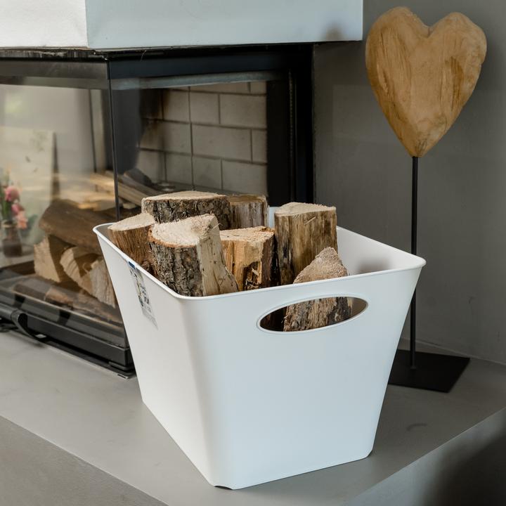 Immagine prodotto Rotho Livingbox (32 x 26 x 43 cm, 24 l)