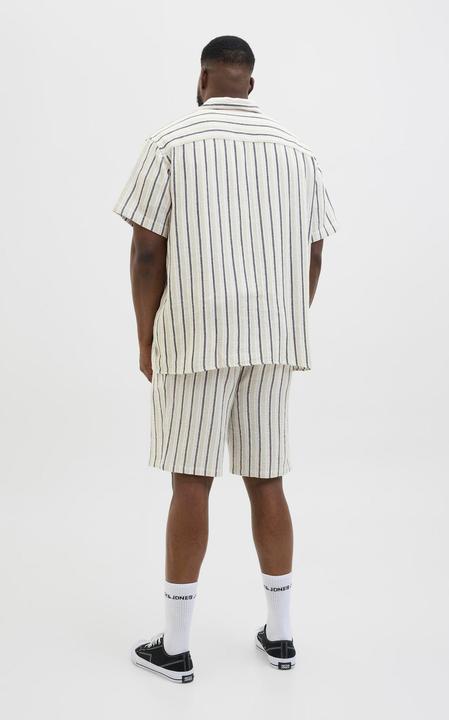 Produktbild Jack & Jones Jorcoba Stripe Resort Shirt Ss Sn Pls (8XL)