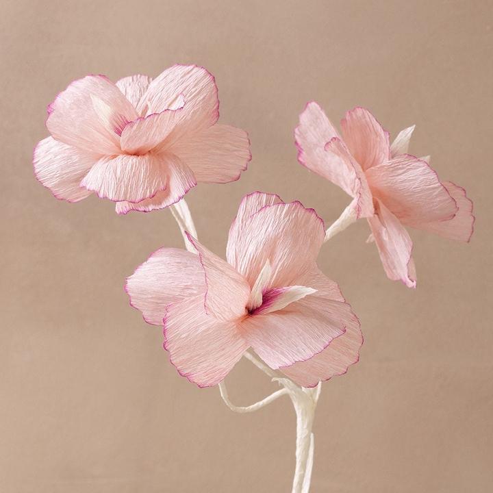 Image du produit Creativ Company Craft Kit - Papier crêpe - Fleurs couleurs pastel (977666)
