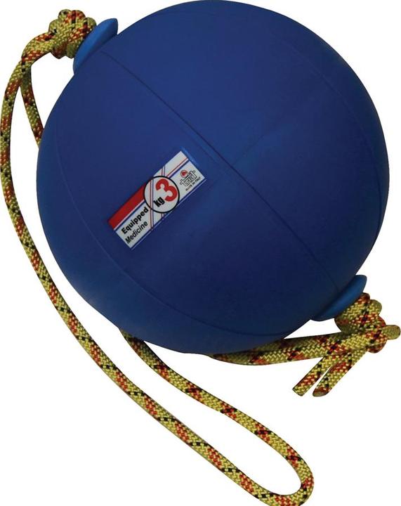 Actual product image Trial sling ball (3 kg, 240 mm)