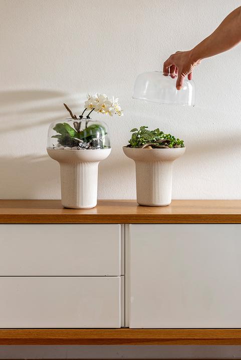 Immagine prodotto Plastia Fioriera Humidarium 26,5x20 cm (20 cm)