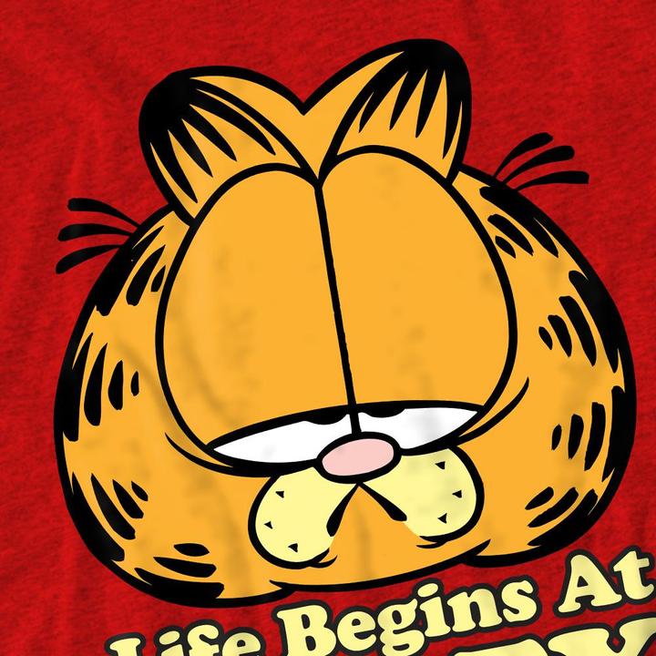 Image du produit Garfield - T-shirt LIFE BEGINS AT FORTY - Adulte (3XL)