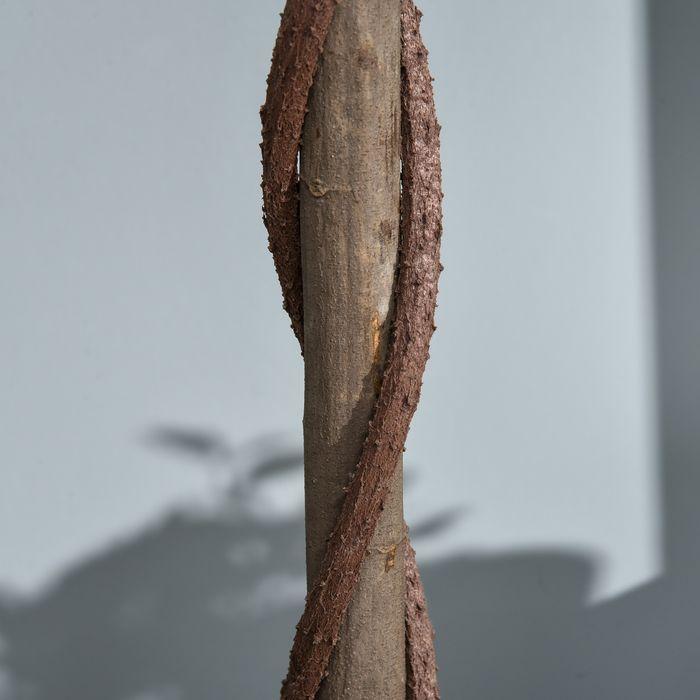 Actual product image Swisshandel24 2er-Set Künstlicher Lorbeerbaum 120cm Kunstpflanzen im Zementtopf, Zimmerpflanze (120 cm)
