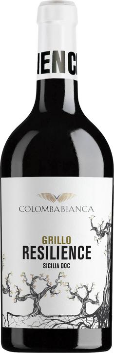 Actual product image Colomba Bianca Resilience Grillo Sicilia DOC (2023)