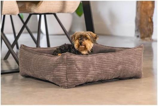 Image du produit Designed by Lotte Ribbed (Chien)