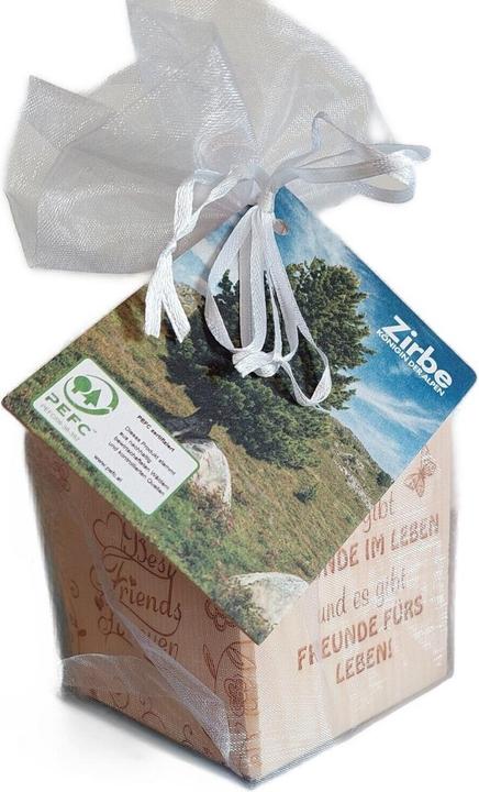 Immagine prodotto ZNatur Porta tealight in legno di pino svizzero cubo e vetro decorativo con incisione Ci sono amici nella (1 x)