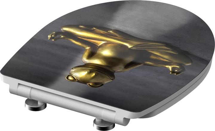 Image du produit Schütte Relaxing Frog