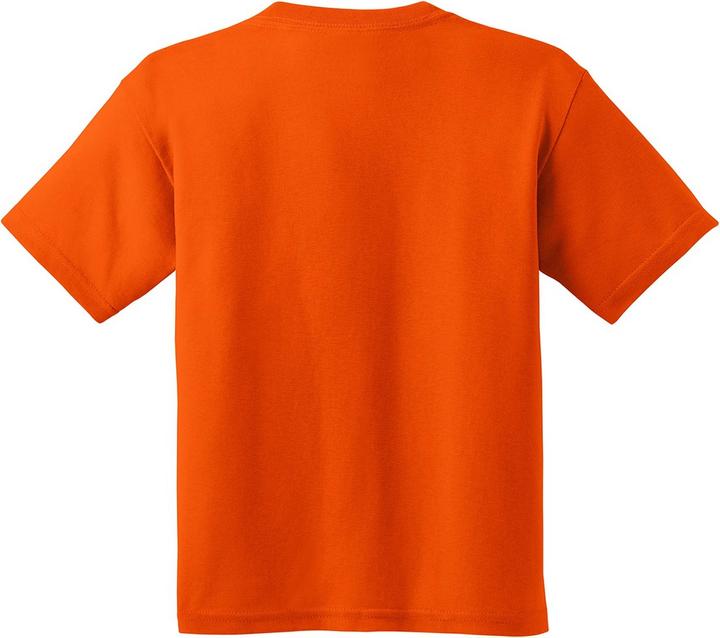 Actual product image Gildan T-shirt with round neck, short sleeves (XL)