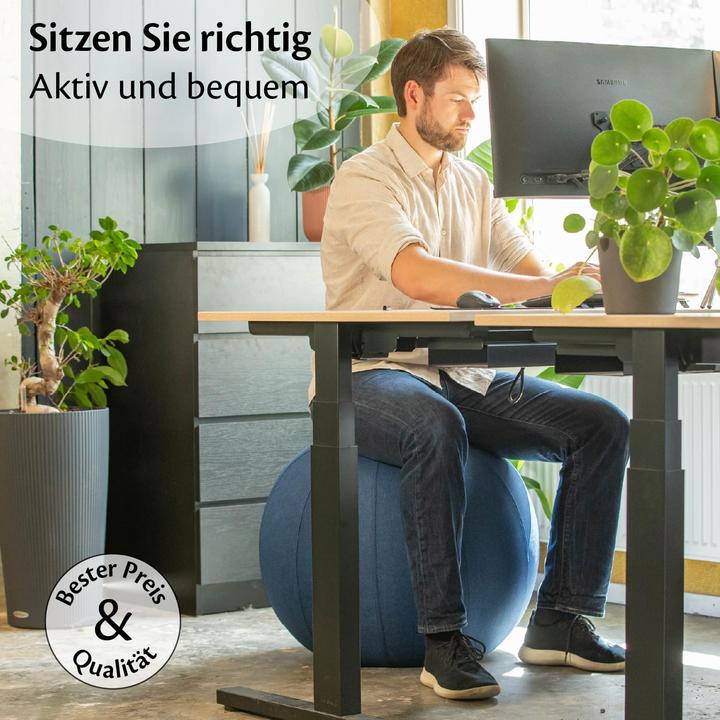 Immagine prodotto Backerz Ergonomischer Sitzball mit waschbarem Leinenbezug (65 cm)