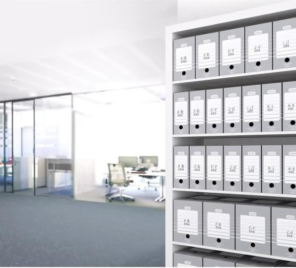 Actual product image Elba Archive box (A4)