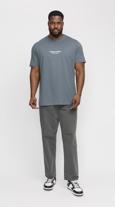 Image du produit Jack & Jones Jorvesterbro Tee Ss Crew Neck Noos Pls (XXL)