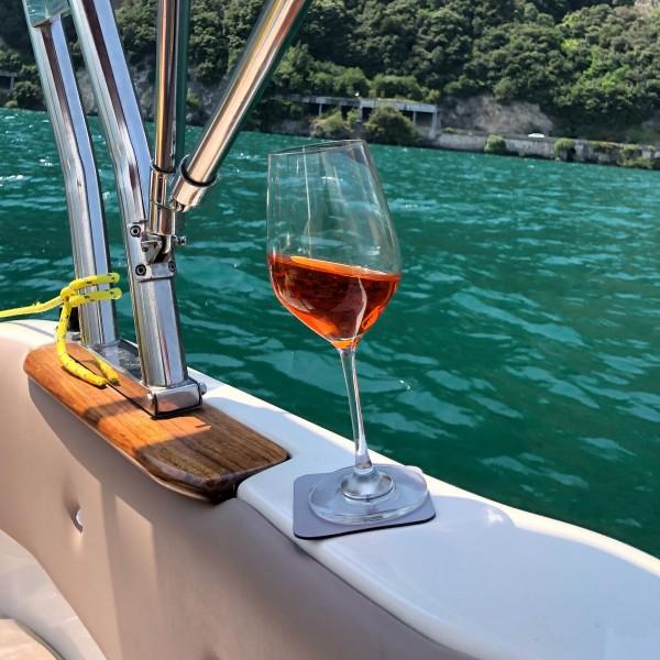 Immagine prodotto Silwy Bicchieri da vino per esterni in cristallo Set di 2 (25 cl, 2 Occhiali, Set di bicchieri da vino)