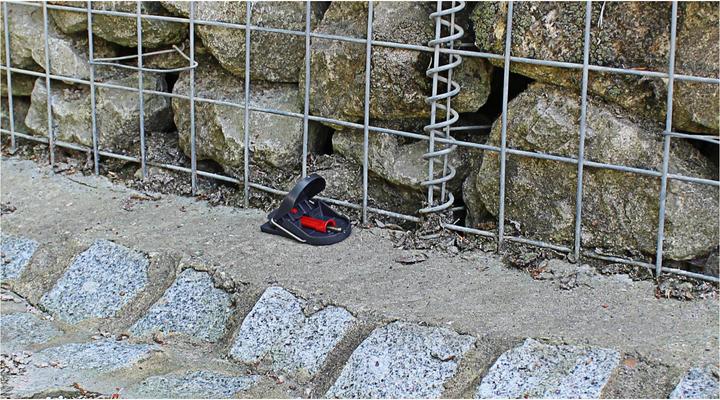 Actual product image Swissinno Mousetrap Pro SuperCat pack of 2