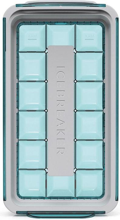Image du produit Icebreaker Nordic: Icebreaker Pop 2.0 bleu