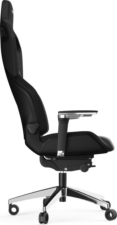 Image du produit RECARO Exo Platinum
