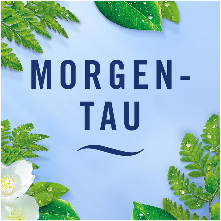 Produktbild Febreze Morgentau