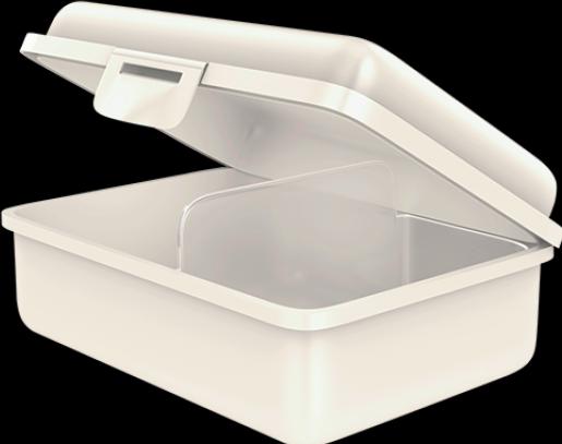 Immagine prodotto Fizzii Lunch Box con separatore bianco perla, di Graziela Cloverleaves
