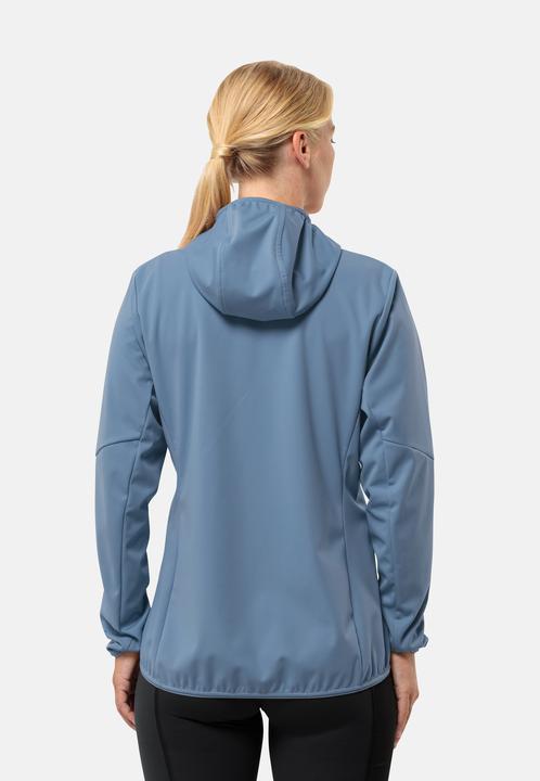 Image du produit Jack Wolfskin Feldberg Hoody W (S)