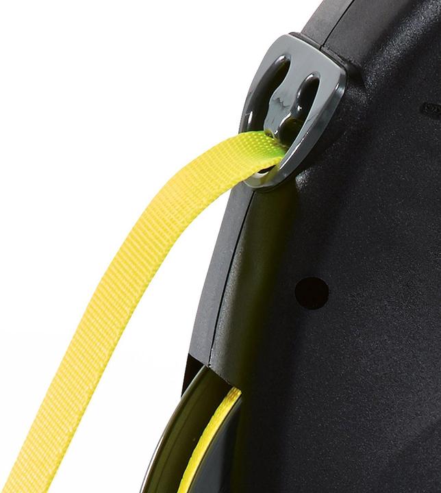Actual product image Flexi Giant (L, Dog, Walks, General)