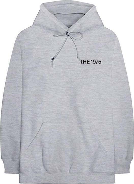 Actual product image Universal Textiles Unisex Adult ABIIOR MFC Hoodie (XXL)