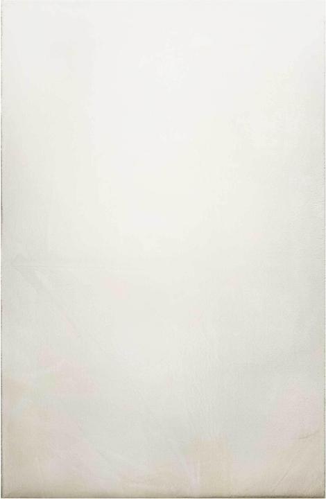 Immagine prodotto Homie Living Lago (160 x 225 cm)
