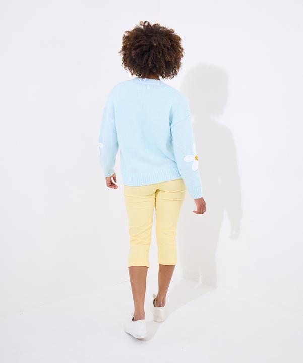 Immagine prodotto Joe Browns Daisy Applique V-Neck Cardigan (36)