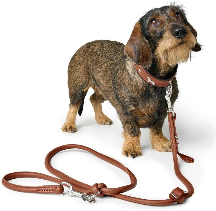Actual product image Hunter Dachshund collar Munich 37/XS-S, cowhide leather (37, Dog, General)