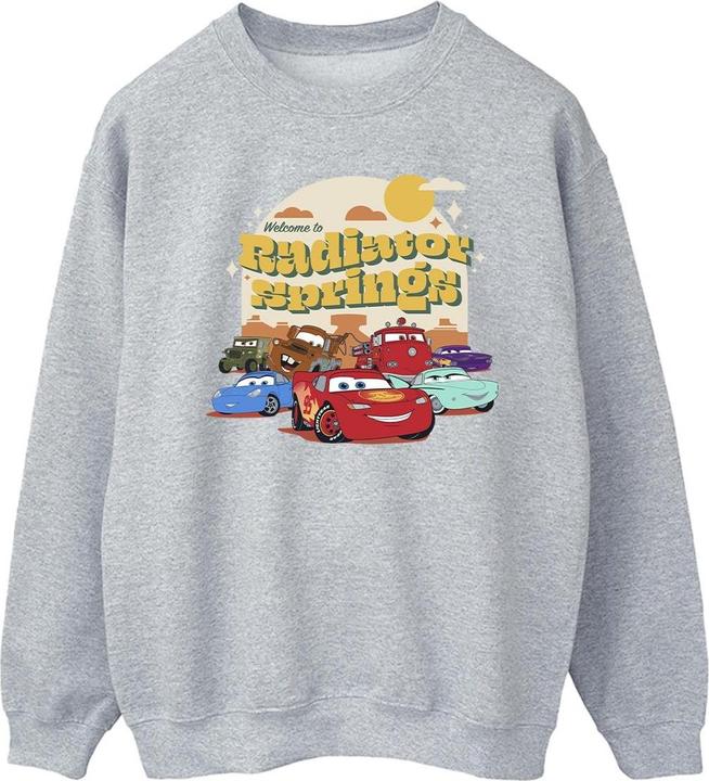 Disney Cars Radiator Springs Group Sweatshirt (M)
