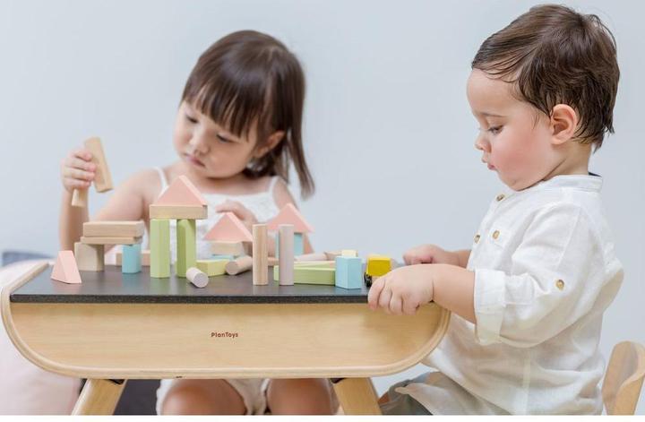 Image du produit Plantoys 40 blocs de bois pastel