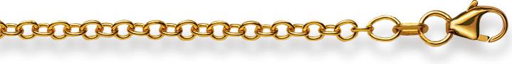 Image du produit Natsumi Schmuck Collier en or jaune 18K/750 Ancre ronde 2.5mm 55 cm (750/18 K Or jaune, 55 cm)