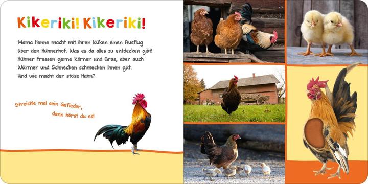 Actual product image Hör mal rein, wer kann das sein - Im Stall (German)
