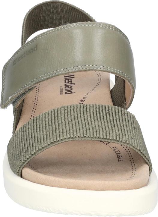 Image du produit Westland 25407-410 (37)