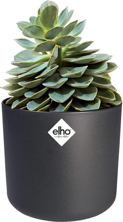 Image du produit Elho b.for soft (18.30 cm)